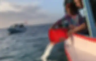 Tak Puas dengan Penjelasan Jokowi, Susi Pudjiastuti Kembali Serang Pemerintah: Pendapatan Ekspor Benih Lobster Lebih Murah dari Peyek Udang