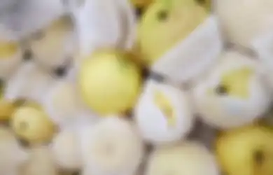 Nyesel Baru Tahu Sekarang, Jangan Lagi Buang Jaring Pelindung Buah Ini, Ternyata Punya Manfaat Luar Biasa Bagi Rumah Tangga