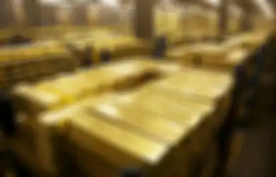 Nyaris Tidak Mungkin Dibobol, Pekerja Selokan Ini Temukan Jalan Rahasia ke Gudang Emas Terbesar di Dunia, Namun Justru Ini yang Dilakukannya