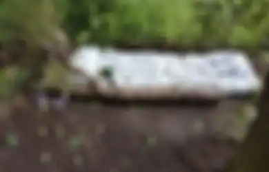 Jemput Anaknya Pulang Sekolah, Ibu Muda Ini Syok Temukan Lokasi Prostitusi Terselubung di Samping SD dan Saksikan Hal Ini
