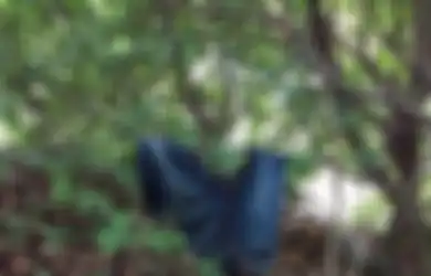 'Hutan Penderitaan', Ibu Ini Temukan Tempat Prostitusi Tersembunyi di Samping Sekolah Anaknya, Jarum hingga Tisu Berserakan di Tanah!