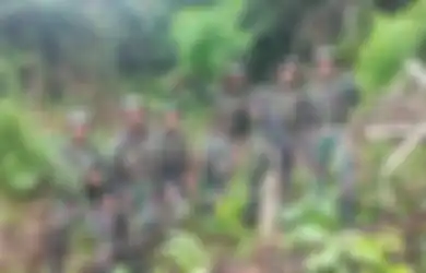 Sedang Patroli Perbatasan Indonesia-Papua Nugini, TNI Justru Temukan Ladang Ganja Seluas 4 Hektar