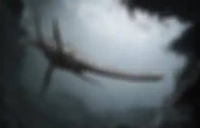 Panjangnya 11 Meter, Monster 'Loch Ness' Terbesar dalam Sejarah Ini  Ditemukan di Antartika