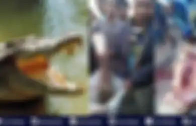 Warga Merinding Bongkar Perut Buaya Buncit, Isinya Potongan Tubuh Manusia, Diduga Inilah Sosok Korbannya
