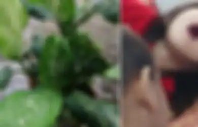 Sering Ditanam Orang Indonesia, 'Bunga Bahagia' Ini Ternyata Amat Berbahaya, Gadis Ini Jadi Korbannya