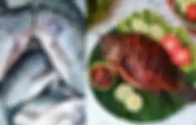 Meski Jadi Lauk Primadona, Siapa Sangka Ikan Mujair Miliki Kadar Lemak Tinggi hingga Picu Kanker