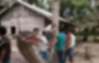 Pria Bandung Tewas Dililit Ular, Ini Kisah-kisah Ular Besar di Indonesia, Termasuk Kerajaan Ular