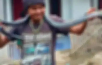 Sering Konsumsi dan Jual Beli Ular, Pria di Bandung Ini Tewas Dililit Ular Sanca di Belakang Rumahnya, Begini Kisahnya yang Memilukan