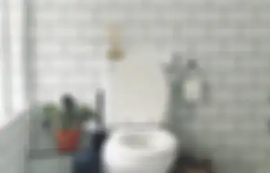Tak Hanya Berbau Tak Sedap, Kamar Mandi Juga Mulai Muncul Karat, Intip di Sini!