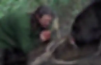 Saat Peneliti Serigala Berakhir Menjadi 'Serigala' Gara-gara Terlalu Lama Hidup Bersama Mereka, Berikut Ini Kisahnya