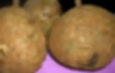 Sempat Dikira Fosil Buah Zaman Purba dan Beracun,  Begini Nikmatnya Durian Tanpa Duri yang  Ditemukan di Kaki Gunung Rinjani