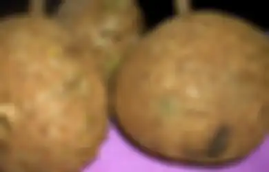 Tanpa Duri Sedikitpun, Inilah Durian 'Gundul' Asli NTB yang Unik, Bagaimana dengan Rasanya?