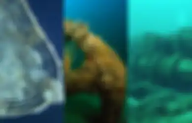 Selain Titanic, Inilah 5 Kapal Raksasa yang Karam dan Jadi Kuburan Air, Salah Satunya Ditemukan Berton-ton Koin Emas dan Perak