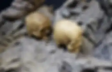 Mengenal Kehidupan Aghori, Sekte yang Tinggal di Kuburan dan Hanya Makan Daging Manusia, Kotoran, Serta Racun