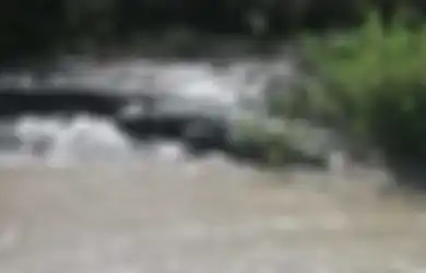 Sedang Memancing, Nelayan Ini Kejar Buaya yang Lewat untuk Ambil Mayat Manusia di Rahangnya