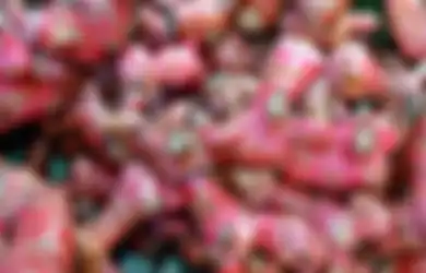 Harga Jahe Merah Tembus Rp100.000/Kg Karena Dampak Corona, Rupanya Khasiatnya pun Tak Main-main dari Perkuat Imunitas Tubuh hingga Jaga Kondisi Jantung