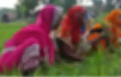 Tak Manusiawi, Wanita India Dipaksa Operasi Angkat Rahim Agar Tak Ganggu Pekerjaan Setiap Menstruasi