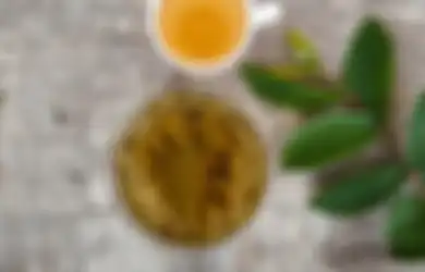 Tak Hanya Hentikan Diare Ini 6 Manfaat Minum Air Rebusan Daun Jambu Biji untuk Kesehatan Tubuh, Bahkan Bisa Turunkan Kolesterol Jahat