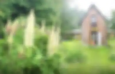 Sebut Telah Menggali Harta Karun di Kebun Rumah Barunya, Orang-orang Justru Ngeri dan Bilang Benda Terkutuk