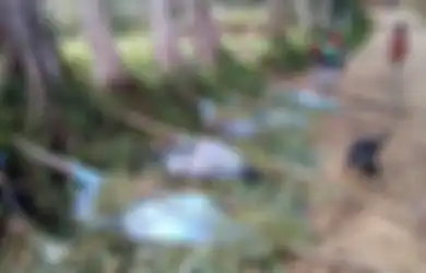 Ibu Hamil dan Anak-anak Jadi Korban Pembantaian Suku di Papua Nugini, Tubuh Terpotong-potong, Rumah pun Terbakar