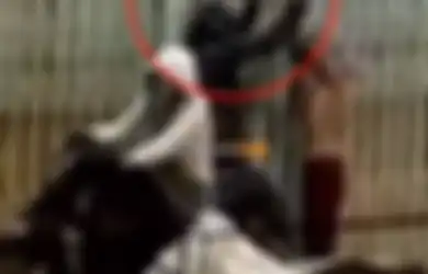 Sempat Teror Warga Medan, 7 Kawanan Becak Hantu Diciduk, 3 Diantara Pelaku adalah Perempuan
