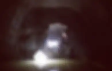 Makam 'Firaun Hitam' Berusia 2.300 Simpan Harta Karun yang Terendam dalam Air, Seperti Apa?