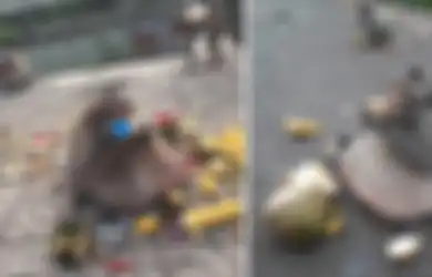 Kisah Seekor Monyet Rakus yang Obesitas, Tapi Malah Jadi Hewan Langka