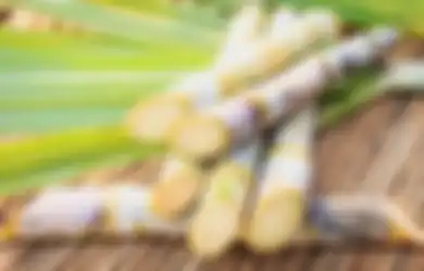 Contoh Cara Tumbuhan Berkembang Biak dengan Tunas, Ternyata Ada Tunas yang Bisa Dimakan Manusia!