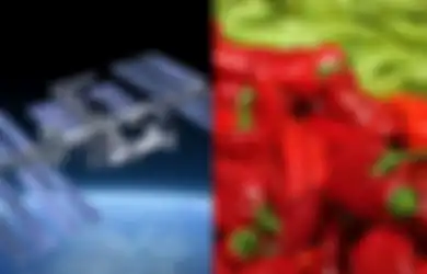 Makin Serius Ingin Kirim Manusia ke Planet Mars, NASA Umumkan Akan Tanam Cabai di Luar Angkasa