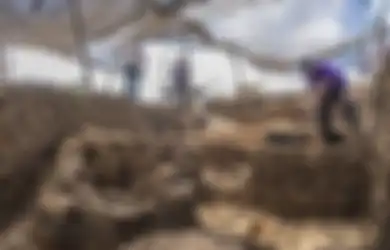 Menakjubkan, Israel Temukan Permukiman Zaman Batu Berusia 9.000 Tahun Terbesar di Dunia, Apa Isinya?