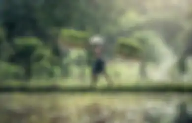 Nekat Gunakan Listrik untuk Basmi Tikus di Sawah, Sejumlah Petani Tewas Tersetrum, Pemkab Beri Sikap Tegas: Kalau Tidak Bisa Diberitahu ya Langsung Dibredel