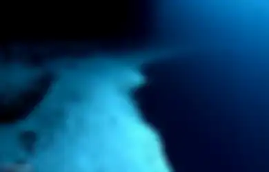 Berusia 500 Tahun, 'Raksasa Misterius' Sepanjang 18 Meter Ini 'Bersembunyi' di Laut Baltik