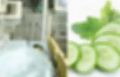 Jadi Pelajaran, Nyawa Bocah 4 Tahun ini Nyaris Melayang Usai Makan Mentimun yang Disimpan di Kulkas, Dokter Jelaskan Penyebab Utamanya