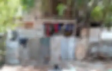Berkedok Warung Rokok hingga Dijaga Preman, Inilah Penampungan Anjing Ilegal di Semanggi