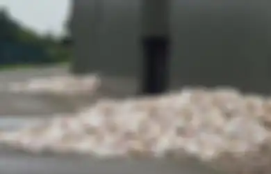 Hadapi Gelombang Panas, Ribuan Ayam Mati Terpanggang dalam 'Penderitaan Ekstrem'