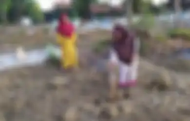 Kuburan untuk Robi, Orang Mati yang Hidup Lagi di Sampang, Ditutup Kembali oleh Warga Setempat