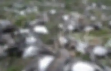200 Rusa Ditemukan Mati di Kutub Merupakan Dampak Perubahan Iklim yang Meluas