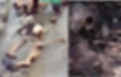 Ngeri! Di Tempat ini Mayat-Mayat Tidak Dikubur, Melainkan Berserakan Begitu Saja di Tanah, Salah Satunya Perkebunan Mayat di Amerika