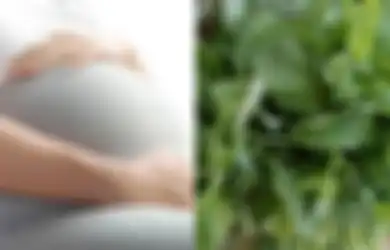 Jangan Ragu Lagi untuk Makan Bayam Selama Kehamilan, Rasakan Manfaatnya, dari Pertahankan Tekanan Darah Hingga Hilangkan Risiko Lahir Prematur