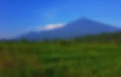 Gunung Ciremai Terbakar, Berikut Foto dan Video Resmi dari TNGC Ceritakan Keadaanya
