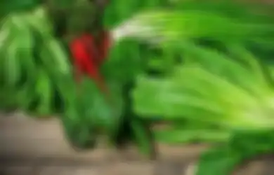 Ramalan Zodiak Kesehatan Hari Ini 25 Maret 2020, Virgo Banyak Makan Sayuran Hijau, dan Capricorn Masukkan Zat Herbal ke Dalam Ritual Mandi Anda