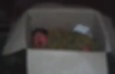 Tak Sengaja Temukan Bayi, Pria Tua Ini Terkejut Ketahui Bahwa Bayi Tersebut Masih Darah Dagingnya, Perilaku Pembuangnya Lebih Mengejutkan