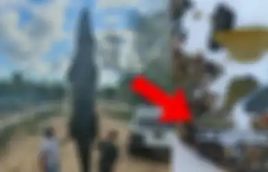 Mati di Peternakan, Perut Buaya Sepanjang  5 Meter ini Dibedah untuk Keperluan Autopsi, Isinya Tak Terduga! 
