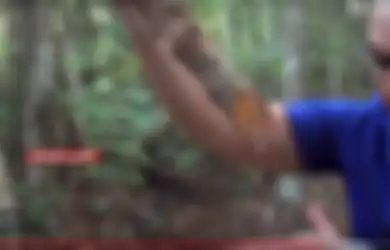 Obat Kanker Ditemukan di Belantara Kalimantan, Ini Seputar Mengenai Tumbuhan 'Mistis' Bajakah yang Curi Perhatian