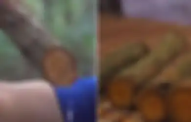 Konsumsi Kayu Bajakah, Nenek dari Salah Satu Siswa yang Temukan Obat Penyembuh Kanker Berhasil Sembuh dari Kanker Payudara Stadium 4