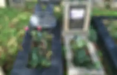 Kuburan Hewan Peliharaan Ragunan Bukti Cinta dan Kasih Sayang Hewan Kesayangan, Foto-Foto Ini Tunjukan Proses Kremasi Hingga Pemakaman