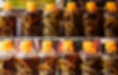 Lima Makanan Ekstreme di Jepang, Mulai dari Bir Ular Hingga Daging Kuda Mentah, Berani Coba?