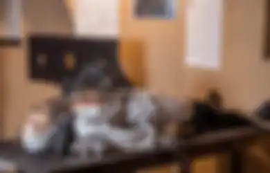 Tikus Akan Gerogoti Perut hingga Tembus ke Usus, Inilah Metode Penyiksaan Paling Mengerikan Sepanjang Sejarah