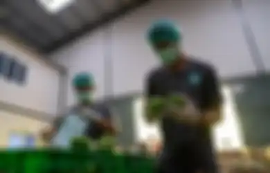 Rencana Besar TaniHub Dongkrak Teknologi di 2021, Bakal Bisa Diakses Petani