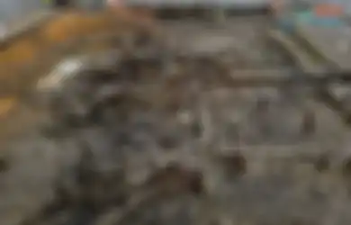 Dari Sampel Kotoran Kuno, Terungkap Tubuh Penduduk Pompeii Inggris Dipenuhi Cacing Pemakan Ginjal, Ini Penyebabnya